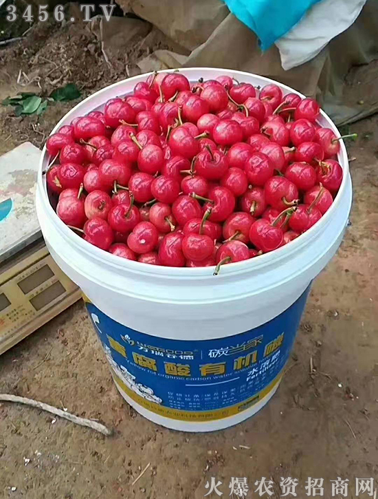 33.jpg 33.jpg